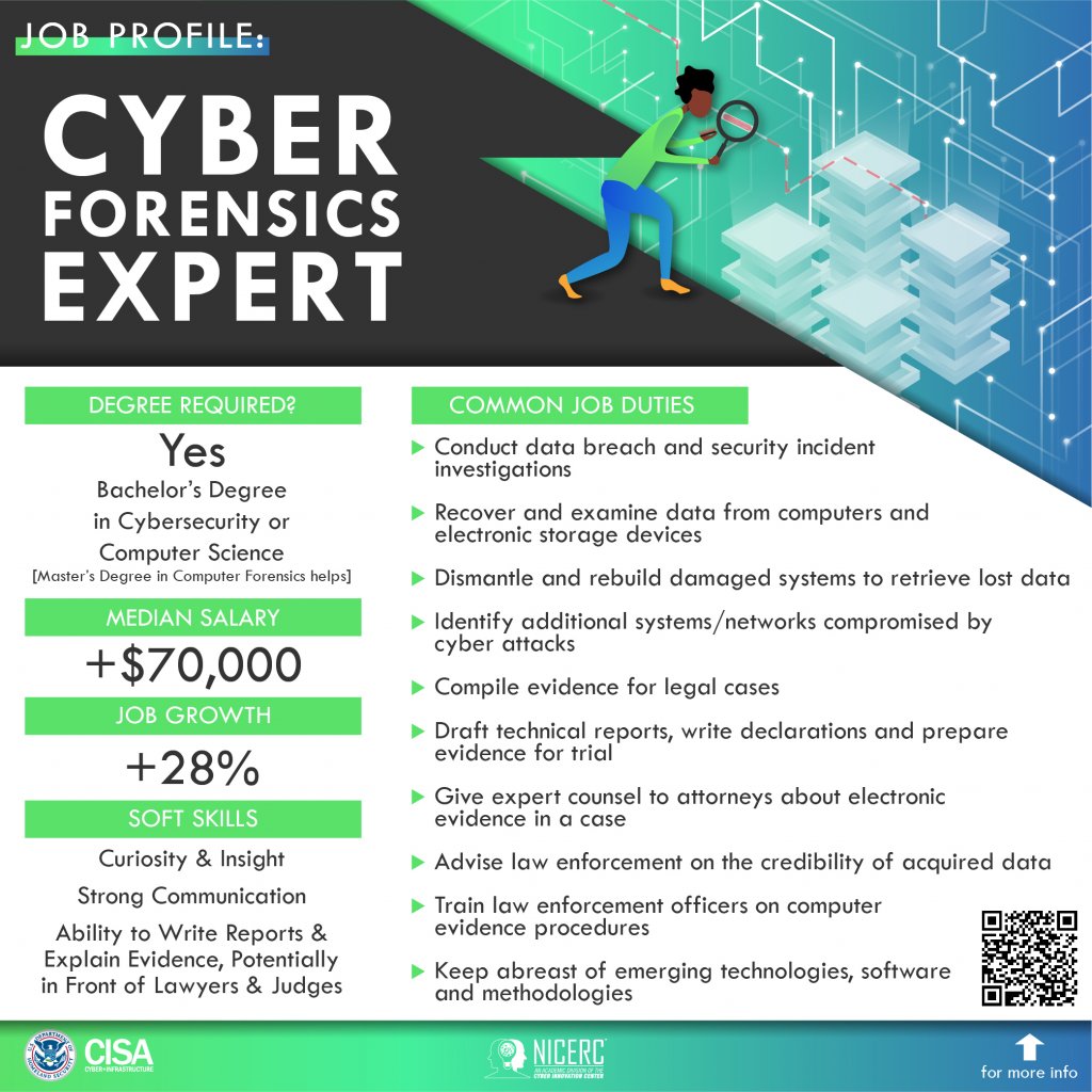 Cyber Forensics
