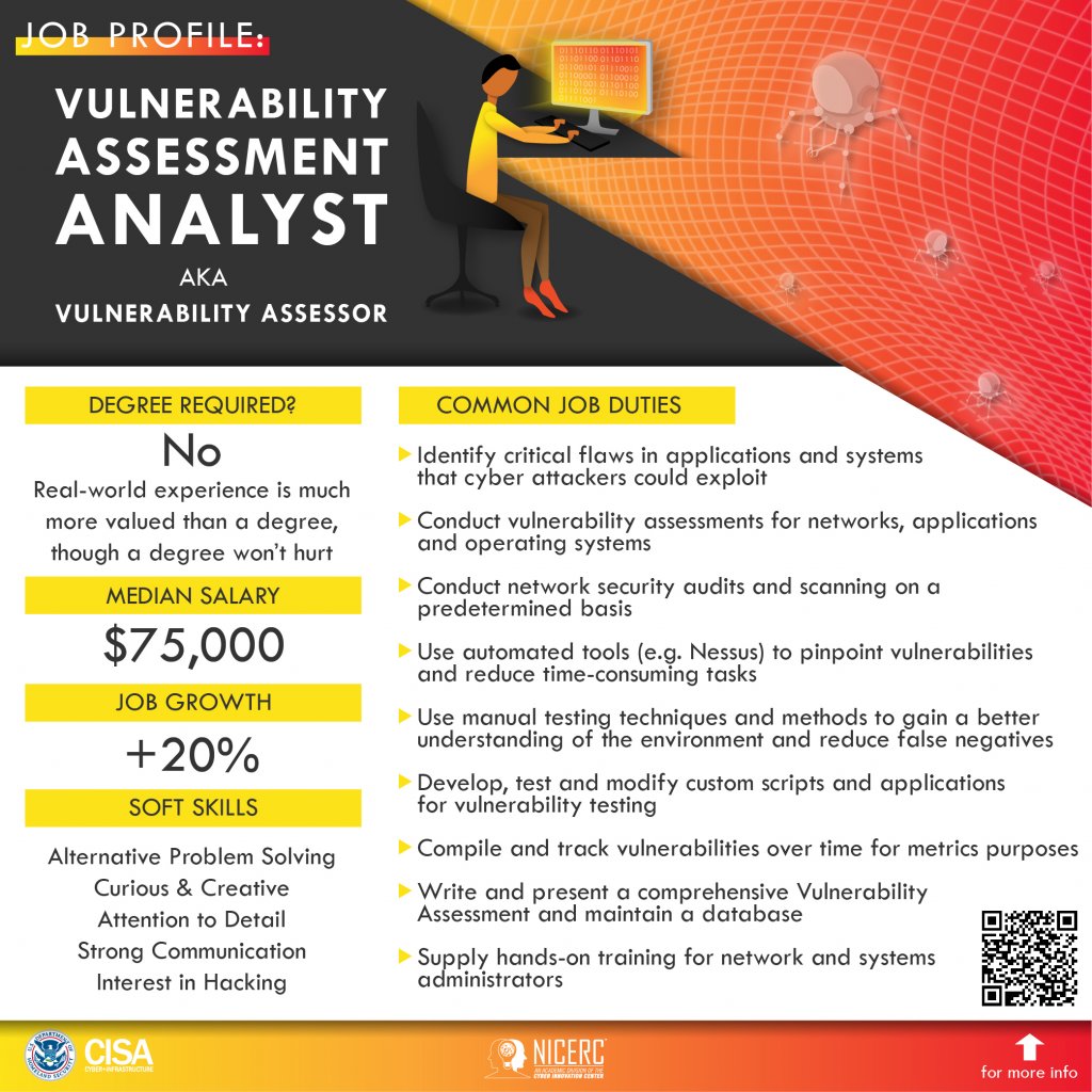 Vulnerability Assessment 